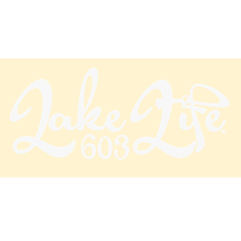 Retro Logo decal
